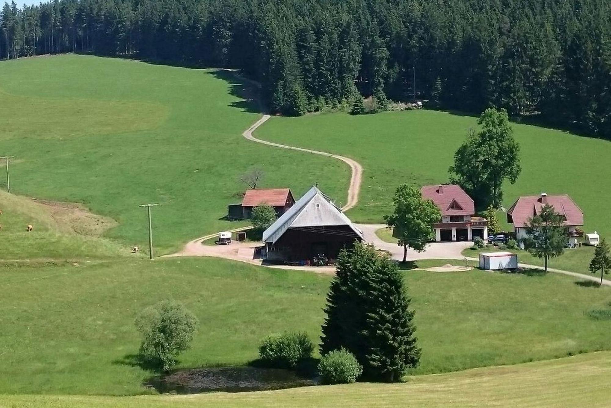 شقة Oberengenbachhof إيسينباخ المظهر الخارجي الصورة